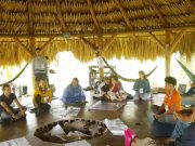 Santa Marta promueve el turismo científico en la lucha contra la deforestación