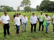 Aracataca/ Sembratón en la Hacienda Santa Bárbara