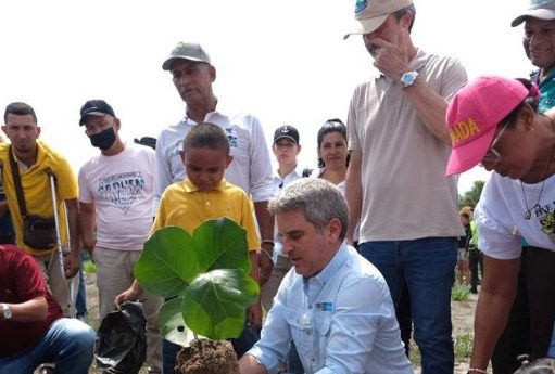 Ciénaga/ Min Ambiente participó en la siembra de 1.5 kilómetros de uva de playa para frenar, la erosión Costera