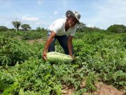 Gobernación inicia ruta de Asambleas del proyecto Brigadas Agrarias