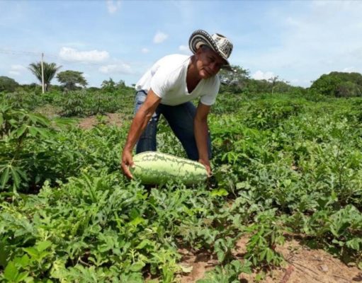 Gobernación inicia ruta de Asambleas del proyecto Brigadas Agrarias