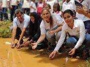San Sebastián: CORPAMAG liberó 800 neonatos de hicotea