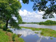 CORPAMAG y Alcaldía de Pivijay finalizan obras de mantenimiento en el Caño Schiller