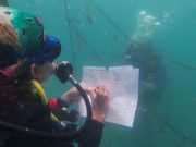 CORPAMAG y Acuario del Rodadero se unen a la campaña Coralízate de MinAmbiente