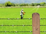 FEDEGÁN invita a los ganaderos a participar en la “cercatón” de TVGÁN