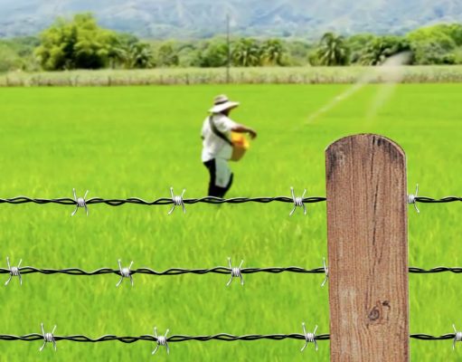 FEDEGÁN invita a los ganaderos a participar en la “cercatón” de TVGÁN