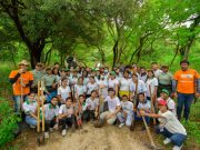 Gobernación plantó 549 árboles en conmemoración del Día del Medio Ambiente