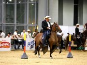 El campo y la ganadería llegan a Puerta de Oro con Agroexpo Caribe 2022