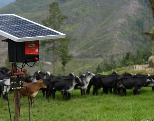 Día sin IVA: ganaderos podrán acceder a más de 100 productos con descuento a través de TVGÁN