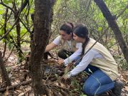 UNIMAGDALENA trabaja en la conservación de su Bosque Seco Tropical