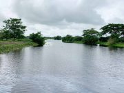 CORPAMAG y Alcaldía de El Piñón ejecutan mantenimiento en el caño Vicente Caballero