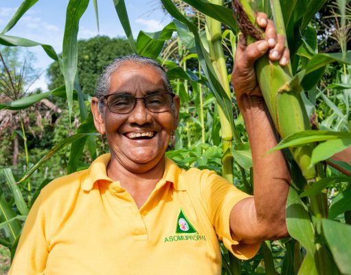 Zona Bananera se prepara para la Feria ‘Magdalena Tierra de Agricultores’