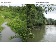 Remolino/ CORPAMAG y Alcaldía ejecutan obras en el Caño El Ratón