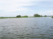 El Banco/ El Caño Inasica recupera las condiciones hídricas y ambientales