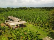 Proyecto ‘Sembrando Futuro’ pasa a manos de la comunidad para su producción local