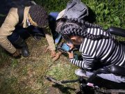 ¡Incluyente! Así es el Bosque Seco Tropical de UNIMAGDALENA