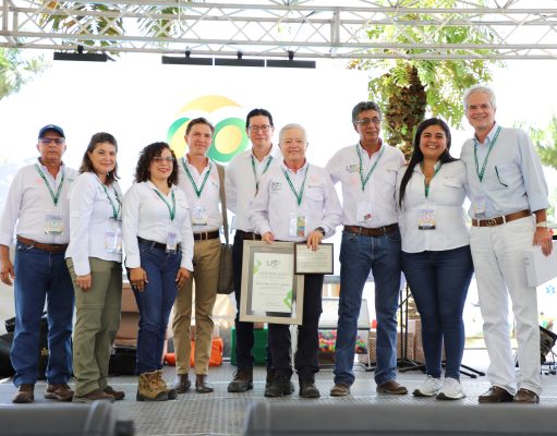Pequeños productores de palma de aceite obtendrán certificación de sostenibilidad