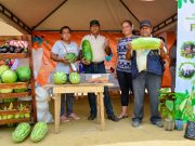 Plato/ Las Ferias de la Equidad impulsan los emprendimientos locales