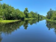 CORPAMAG realiza mantenimiento de los caños Márquez, La Señora y El Burro