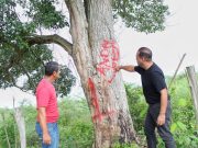 FEDEGÁN solicita a las autoridades del Magdalena actuar frente a ocupaciones ilegales de fincas ganaderas