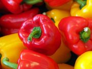 Colombia exporta primer contenedor de pimentón a EEUU