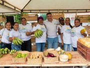 Parque Central de Ariguaní: Próximo escenario para los empresarios del campo