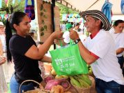 Pivijay /Productores serán protagonistas en la Feria ‘Magdalena Tierra de Agricultores’
