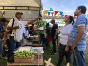 San Sebastián fue epicentro de feria campesina de proyecto E-Commerce