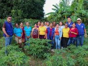 San Sebastián y Guamal recibirán la Feria ‘Magdalena Tierra de Agricultores’