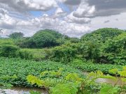 CORPAMAG y ADR inician Obras Hidráulicas en el Caño Los Micos