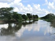 CORPAMAG inicia labores de mantenimiento en el Caño Martinica