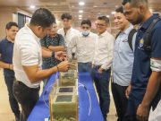 Estudiantes diseñan prototipo de pavimento integrado con energía solar