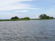 Gobernación declara alerta roja ante incremento del caudal del río Magdalena