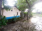 Salamina/ El agua se “tragó” la cosecha y el ganado en Guáimaro