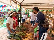 Productores de Sitionuevo recibirán a ‘Magdalena Tierra de Agricultores’