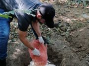 Policía Nacional y CORPAMAG decomisan 4500 huevos de iguana