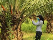 Fedepalma abre convocatoria al Concurso Nacional de Fotografía Ambiental y Social