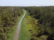 CORPAMAG inicia obras de mantenimiento en el Caño Clarín Viejo