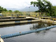 ESSMAR realizará mantenimientos en la captación del río Piedras y módulo 2 de la PTAP Mamatoco