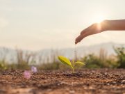 Estrategias para una gestión del agua de manera segura, sustentable y responsable