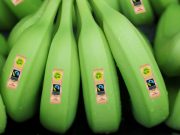 Empresa del Grupo Daabon es reconocida con sello Fairtrade F.L.O