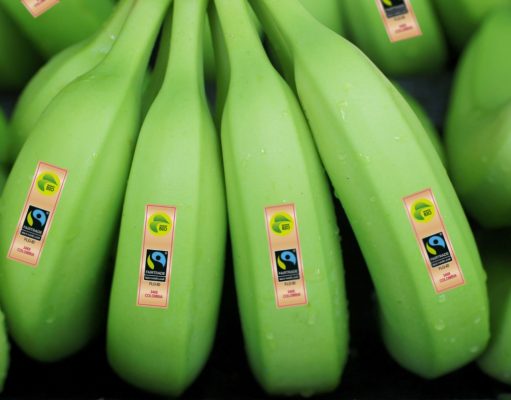 Empresa del Grupo Daabon es reconocida con sello Fairtrade F.L.O