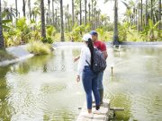 Avanza diagnóstico de unidades productivas en el Magdalena