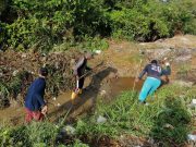 Ciénaga/ Limpieza manual en los canales de desagüe