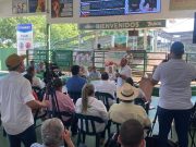 FEDEGÁN ha enviado a la ANT 1038 ofertas por 507.854 hectáreas