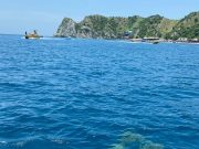 Madre manatí con cría en Playa Blanca e Inca Inca