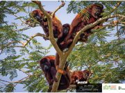 Fotos ganadoras del Concurso de Fotografía Ambiental y Social