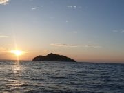 Cotelco Magdalena tiene altas expectativas para el mes de julio.