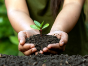 La Conservación del Suelo fue conmemorado por CORPAMAG