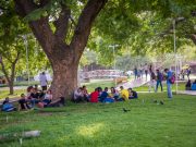 UNIMAGDALENA apoya proyecto de reforma a la Ley 30 de 1992